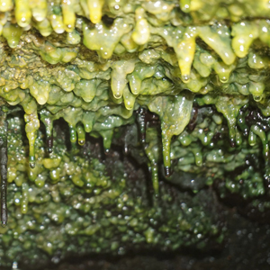 Микробиологи нашли залежи микробной «темной материи» в лавовых пещерах — в ней тысячи неизвестных бактерий