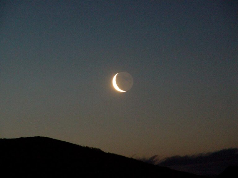 Цифровой архив на Луне станет самым надежным облачным хранилищем данных