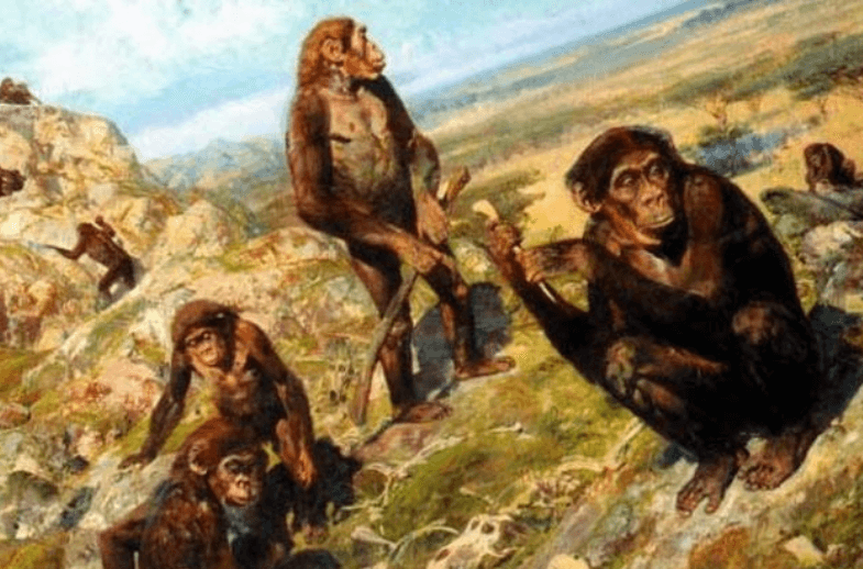 Спонтанные действия людей вызваны дофамином?