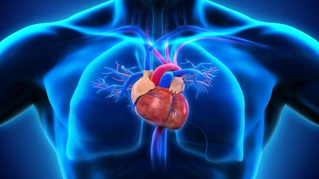 5 убедительных причин меньше спать по выходным