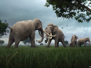 Неандертальцы охотились на гигантских слонов с прямыми бивнями