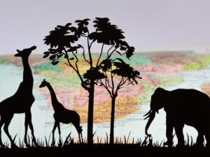 Сколько весит все живое на Земле?