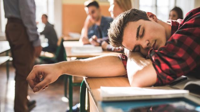 Сколько нужно спать для хорошей учебы: ответ ученых