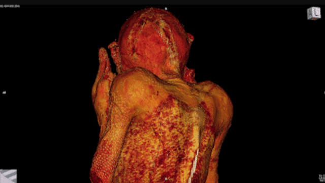 Ученые разгадали секрет мумифицированной русалки из Японии