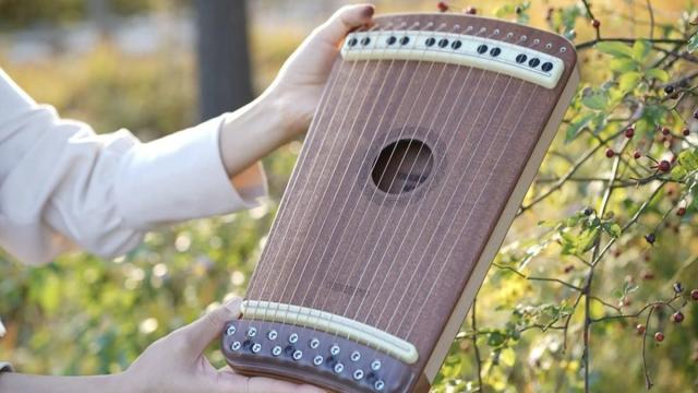 На&nbsp;Kickstarter представили новый музыкальный инструмент: как звучит &laquo;Ханаго&raquo;