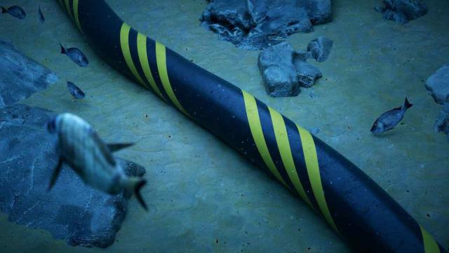 Опубликована самая подробная карта мировых подводных кабелей