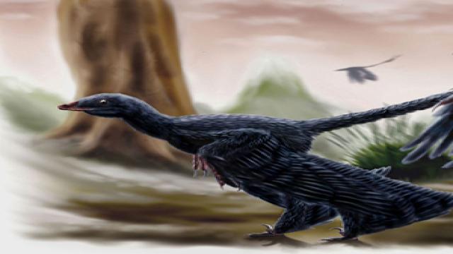 Секреты диеты динозавров: найдены доказательства, что они питались млекопитающими