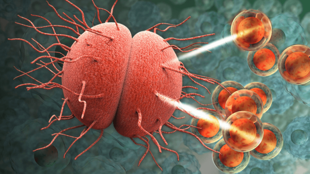 Стала известна еще одна опасность сырого или плохо приготовленного мяса