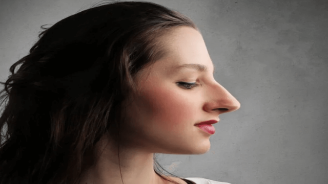 Большие носы достались некоторым людям от неандертальцев