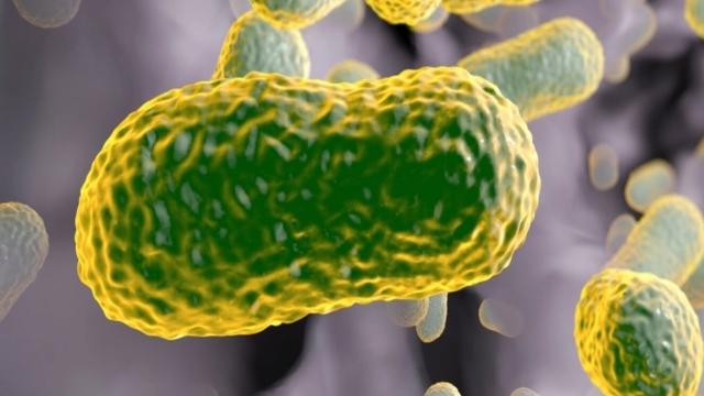 Давно забытый антибиотик может спасти людей от супербактерий