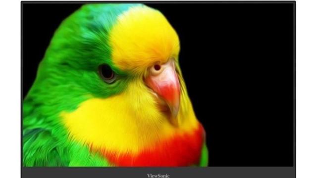 Как выглядит самый компактный 4K-монитор c OLED-дисплеем