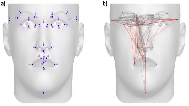 Люди унаследовали форму носа от неандертальцев