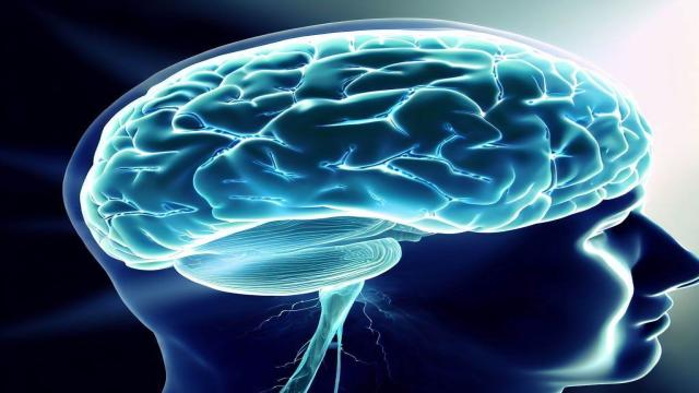 Может ли человеческий мозг самовосстанавливаться?