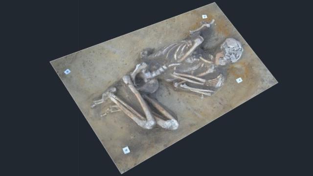 Прекрасно сохранившийся 7000-летний скелет случайно нашли в Польше