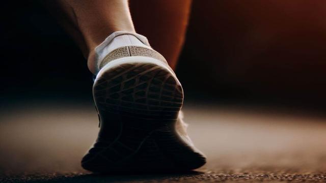 Эйфория бегуна: почему люди «пьянеют» и радуются во время долгого бега