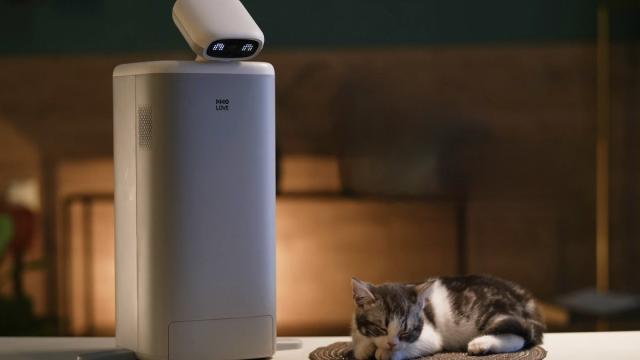 Милота дня: выпущен робот-нянька для котов