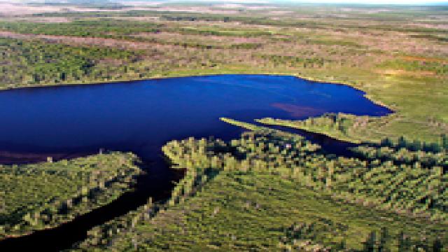 Российские геологи опровергли миф про Тунгусский метеорит