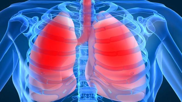 Что происходит с телом утонувшего человека в океане и пресной воде