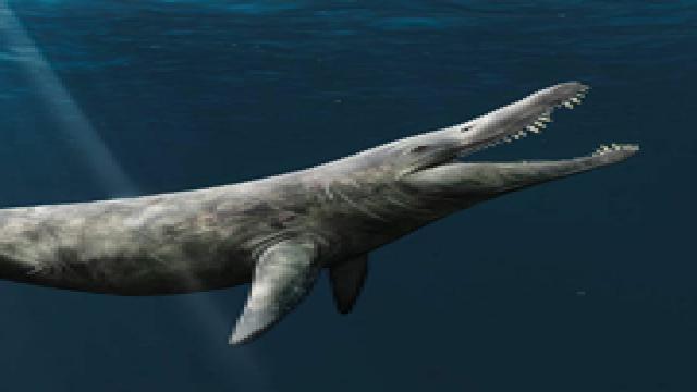 Гиганты юрских морей оказались в два раза больше косаток