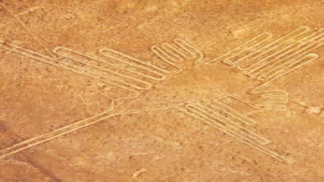 ИИ идентифицировал фигуры из загадочных линий Наски в Перу