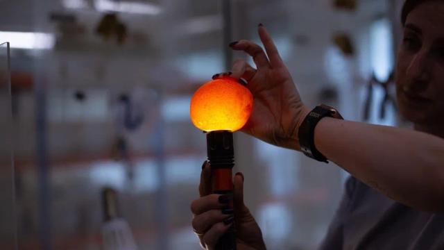 Крупнейшая в истории янтарная капля найдена в России (фото)