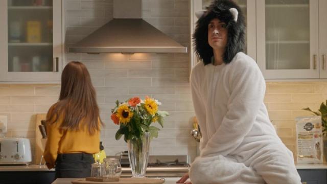 Реклама с капризным котом произвела фурор в сети