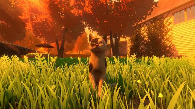 Анонсирована Copycat — игра про кошечку из приюта