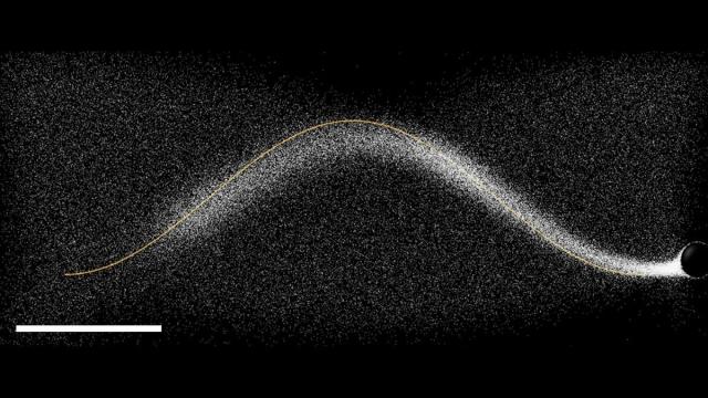 Ученые впервые научились рисовать в воде (видео)