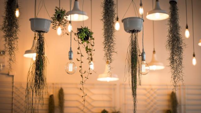 Российские ученые: правильный свет дома сделает вас счастливыми