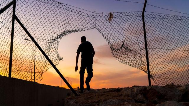 Ученые выявили 14 эволюционных ловушек для человечества. Может ли выжить наша цивилизация?