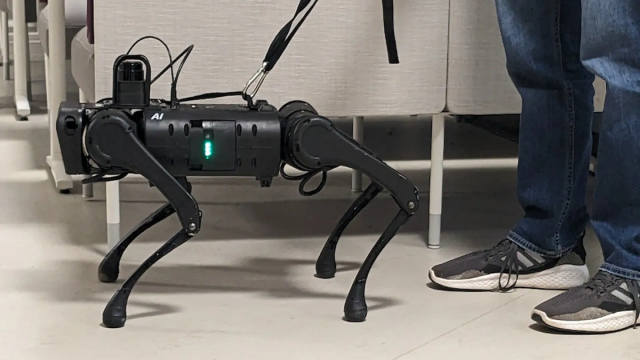 Четвероногие роботы могут заменить собак-поводырей