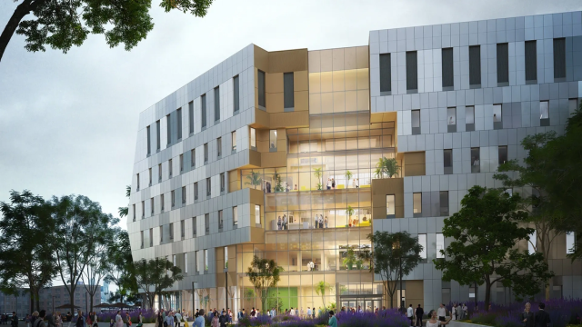 Это здание университета напоминает трещину в валуне