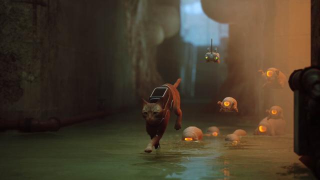 Игра про бродячего котика Stray вышла на Mac