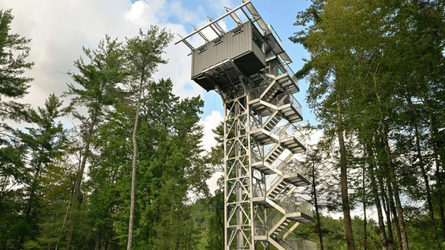 Из морского контейнера сделали дом с шикарным видом (фото)