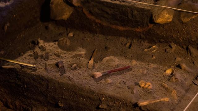 На Алтае нашли необычные украшения — им 40 000 лет