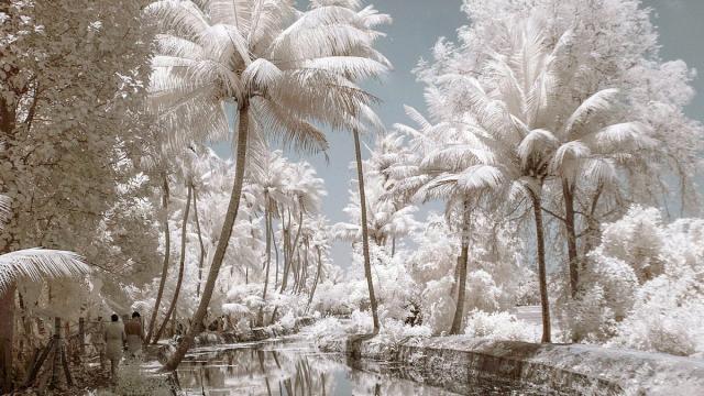 Назван виновник ледниковых периодов на Земле