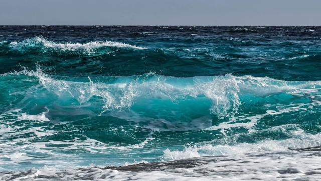 Ученые зафиксировали аномалию в море возле Бермудских островов