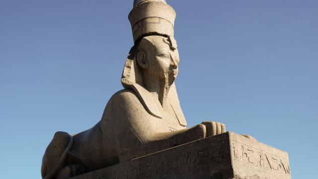 Ученые нашли причину смерти первооткрывателей гробницы Тутанхамона