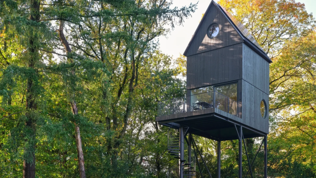 В сети показали крошечный дом-скворечник