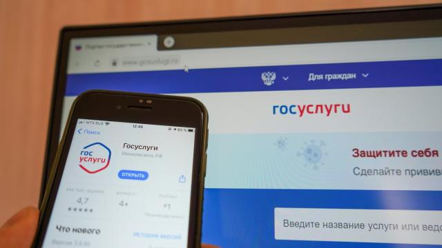 Какой гаджет способен заменить Госуслуги: ответ главы Минцифры