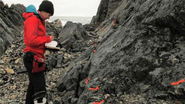 Когда у Земли появилось магнитное поле — вы удивитесь