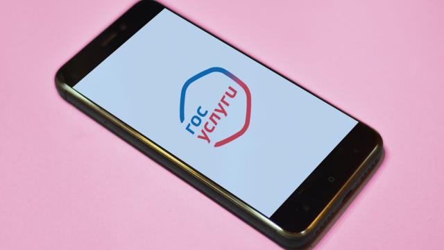 Депутат Горелкин: с 1 августа на Госуслугах появится раздел «мои SIM-карты»