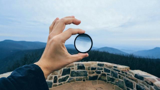 Картинка для самых зорких: попробуйте найти 4 киви на этом изображении!