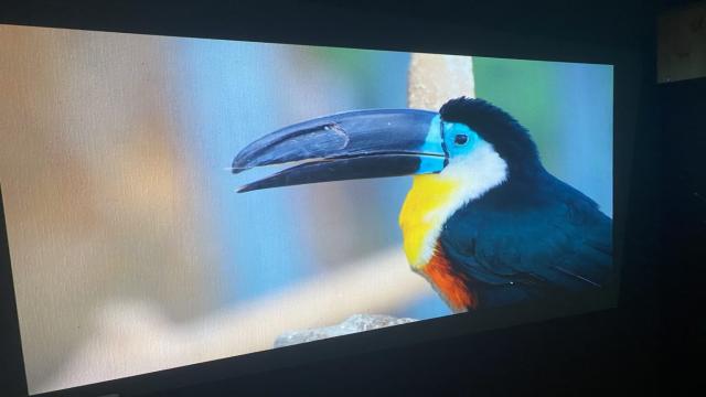 XGIMI Horizon Ultra: тест-драйв 4К-проектора с Dolby Vision