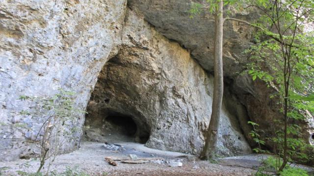 В каких частях России жили неандертальцы