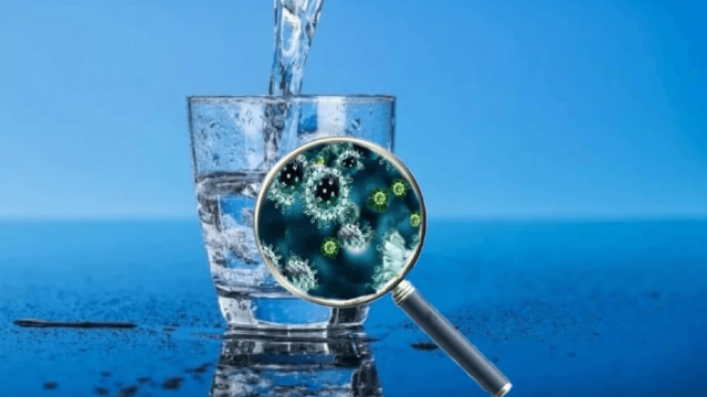 Почему бутилированная вода может быть опаснее, чем вода из-под крана