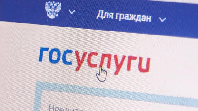 Удостоверение многодетной семьи добавили на Госуслуги в виде QR-кода