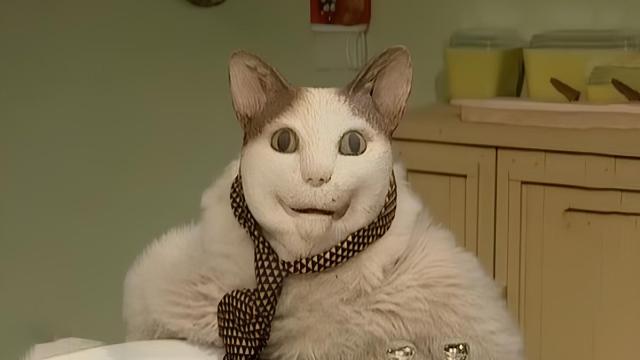 «Бу! Испугался? Не бойся, я друг»: объясняем мем с котом