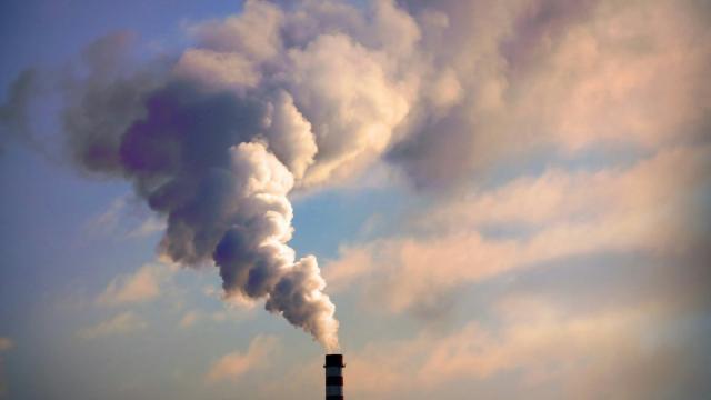 Умное приложение чует токсичные газы: как это работает