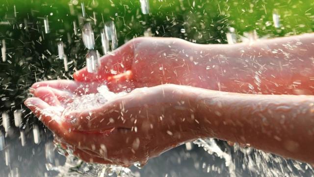 В каком году на Земле закончится питьевая вода